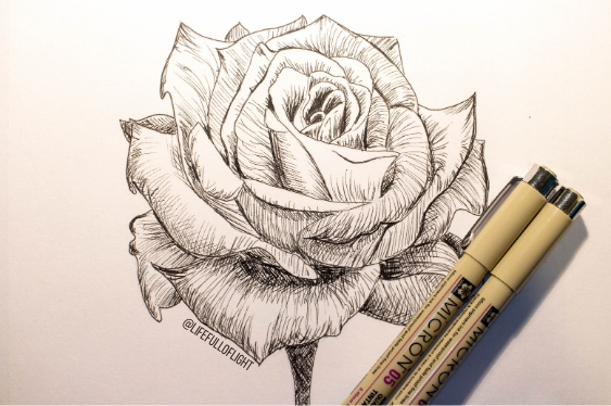 Rose sketch with sakura pigma micron black ink pens