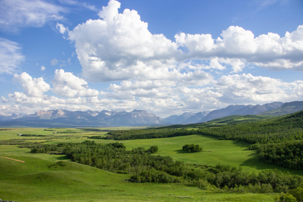 Lookout point in Alberta Canada with mountains, green fields, and cloudy blue sky