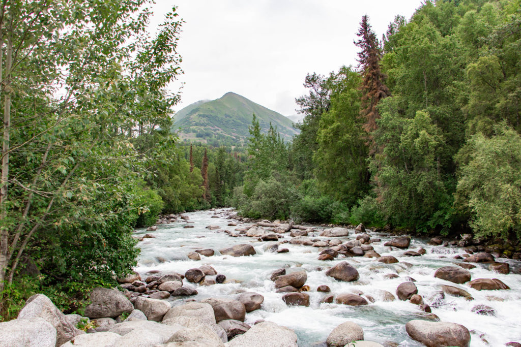 Blue Little Susitna River with rocks in front of green mountain and trees in alaska