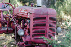 old red mccormick farmall tractor antique vintage in greenery