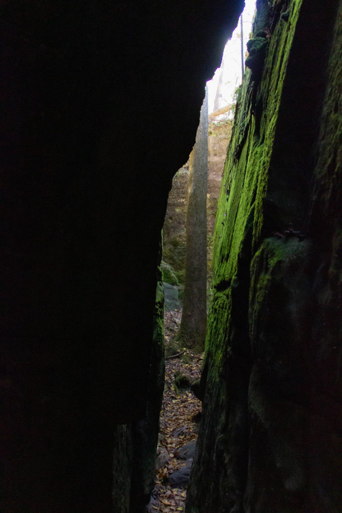 narrow walkway with tree and mossy green walls with light shining through darkness at Dismals Canyon in alabama