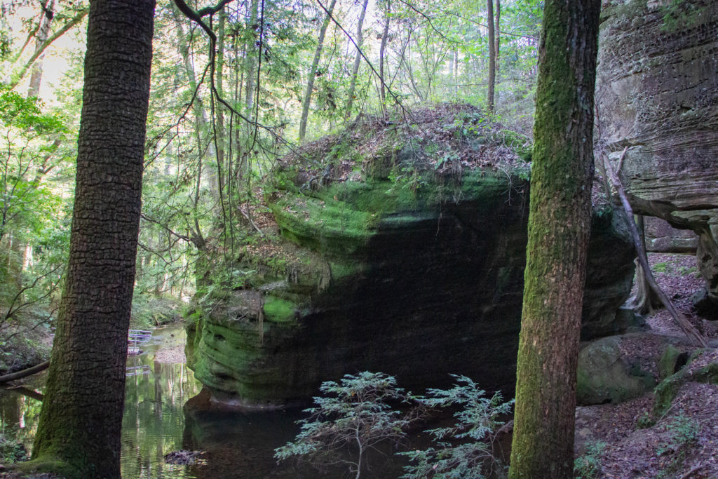 large boulder and trees covered in moss at dismals canyon alabama