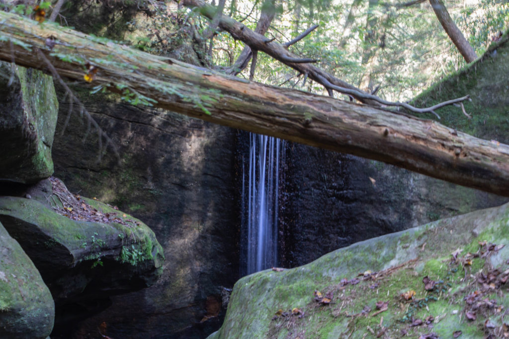 Secret falls waterfall and log and mossy green rocks and trees at dismals canyon alabama
