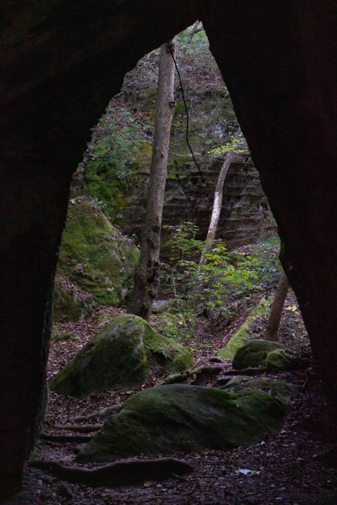 dark cave entrance with green trees outside at dismals canyon alabama