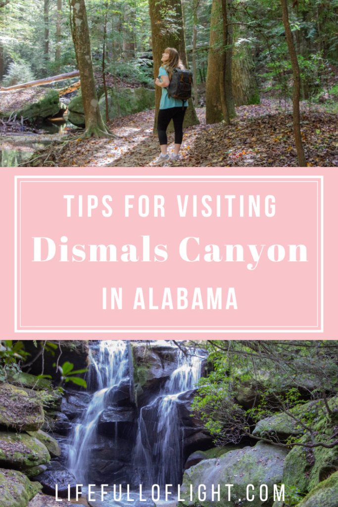 Tips for Visiting Dismals Canyon in Alabama