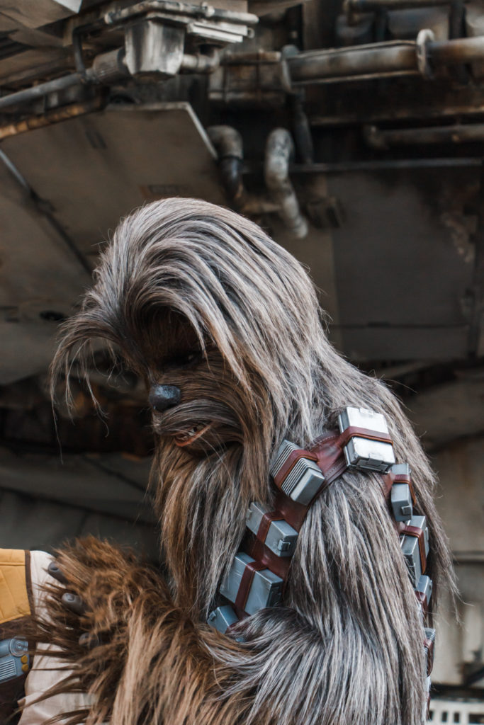 Chewbacca wookie character in front of millennium falcon at Star Wars galaxy's edge Disney World Hollywood Studios Orlando Florida