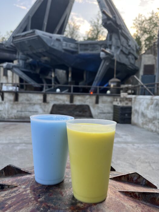 Blue and green milk from Milk Stand in Star Wars Galaxy's Edge in Disney's Hollywood Studios