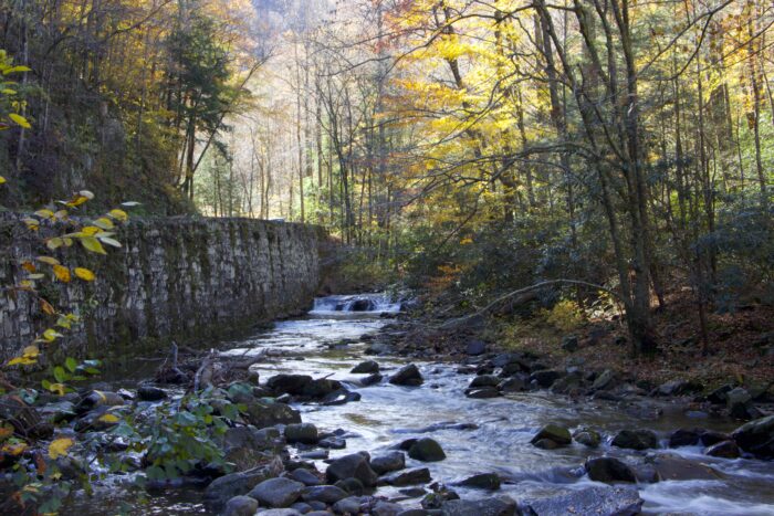 Great Smoky Mountain Creek in fall leaves, unedited