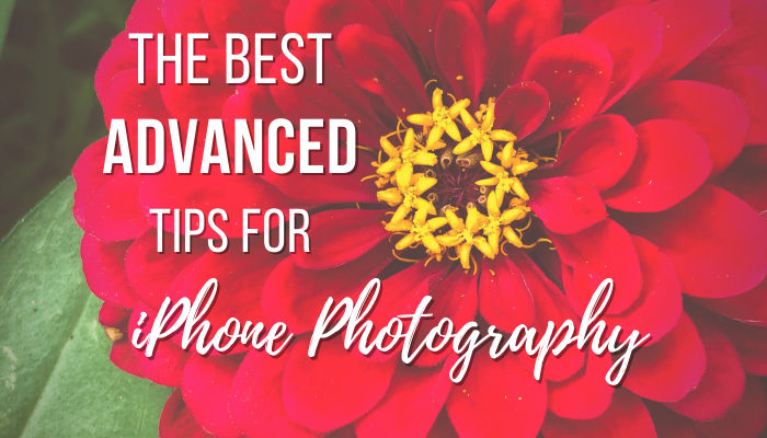 The Best Advanced Tips for iPhone Photography