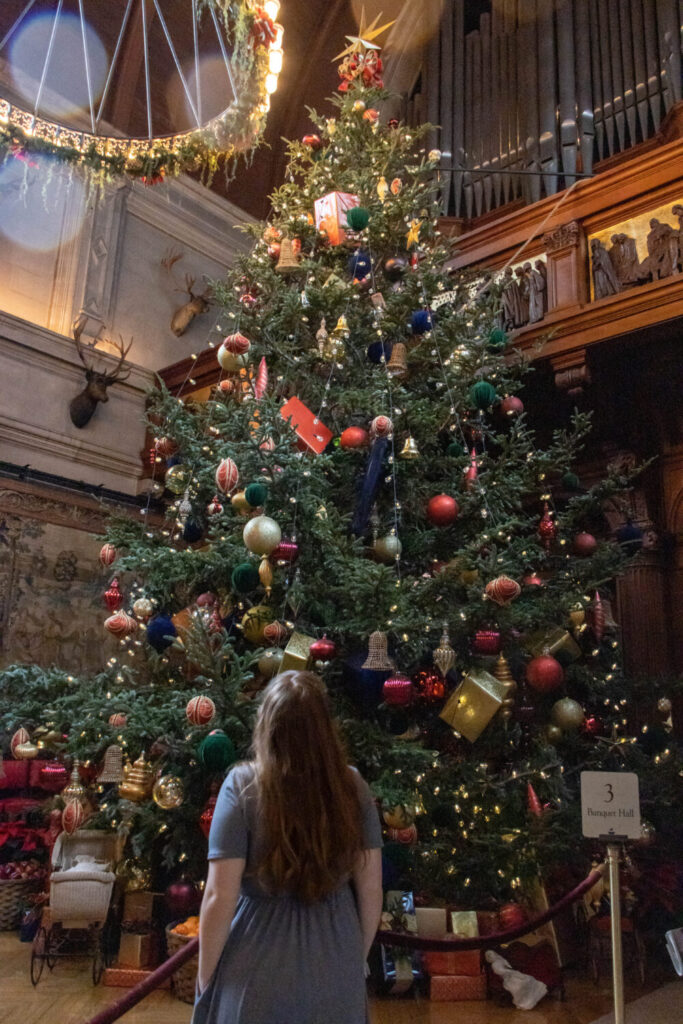 Why You Should Visit the Biltmore Estate at Christmas Time - Looking at the Giant Fir Christmas tree inside the Banquet Hall