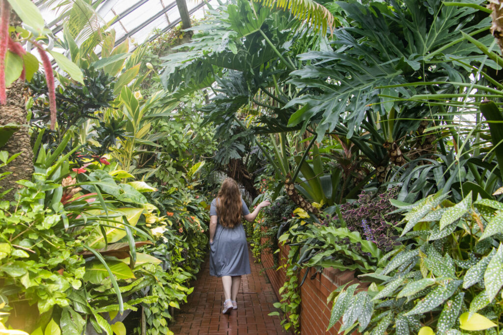 Why You Should Visit the Biltmore Estate at Christmas Time - Girl walking through the Conservatory green house