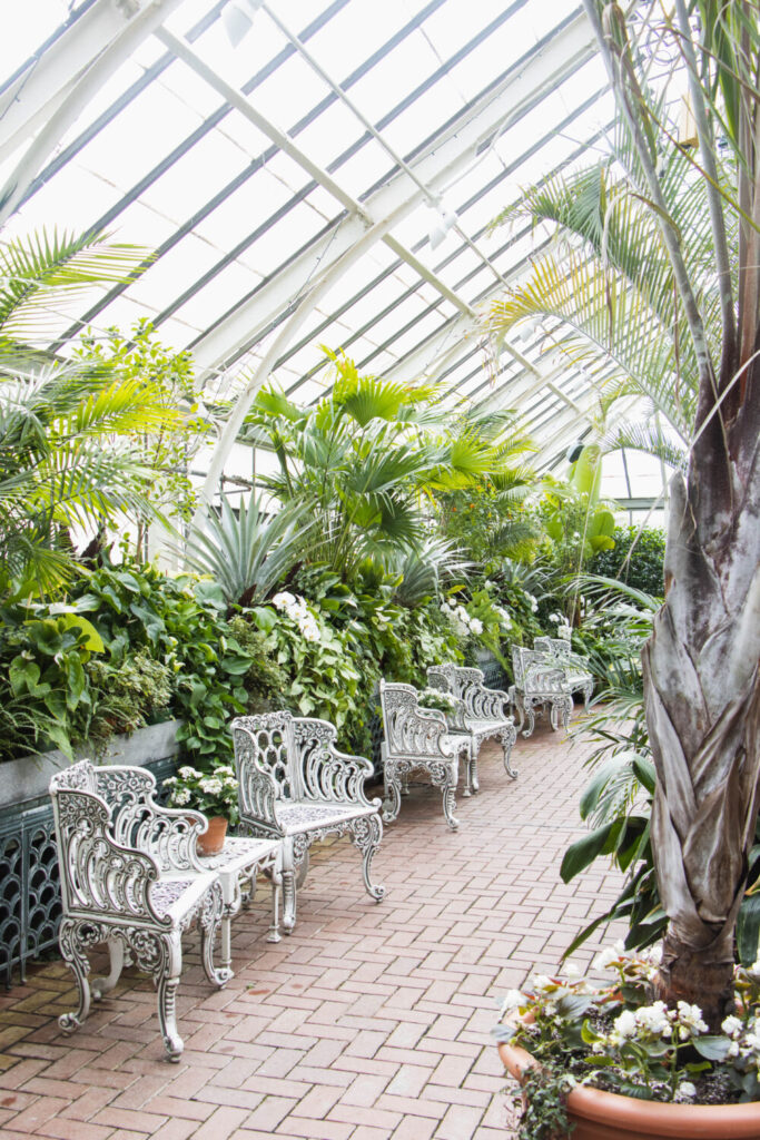 Why You Should Visit the Biltmore Estate at Christmas Time - White benches inside the Conservatory greenhouse