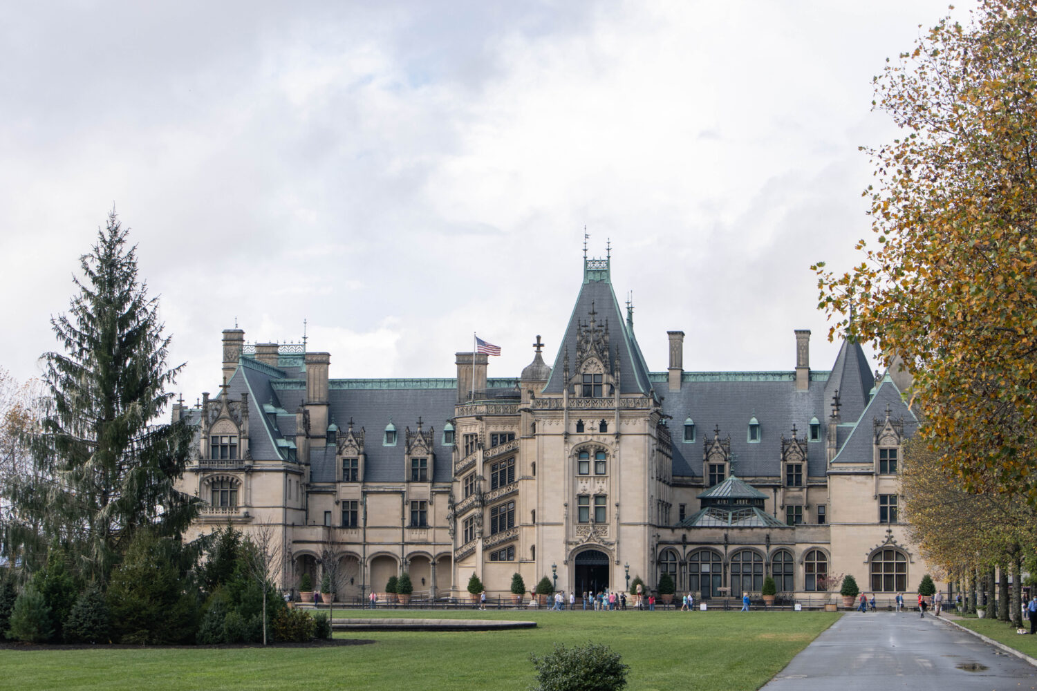 Why You Should Visit the Biltmore Estate at Christmas Time