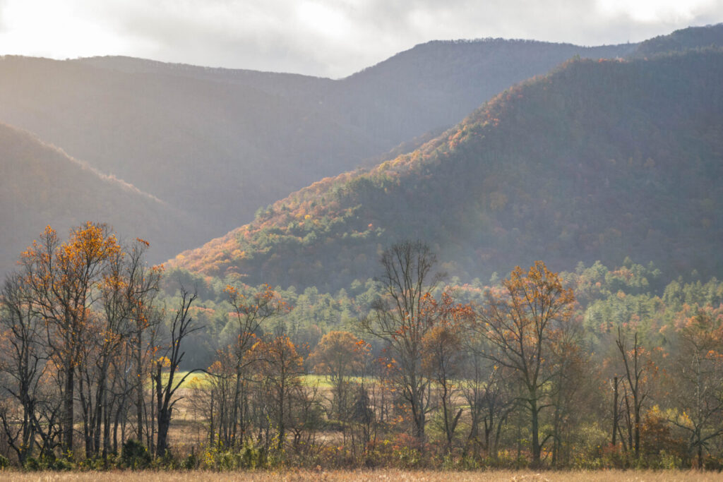 Great Smoky Mountain National Park - Cade's Cove