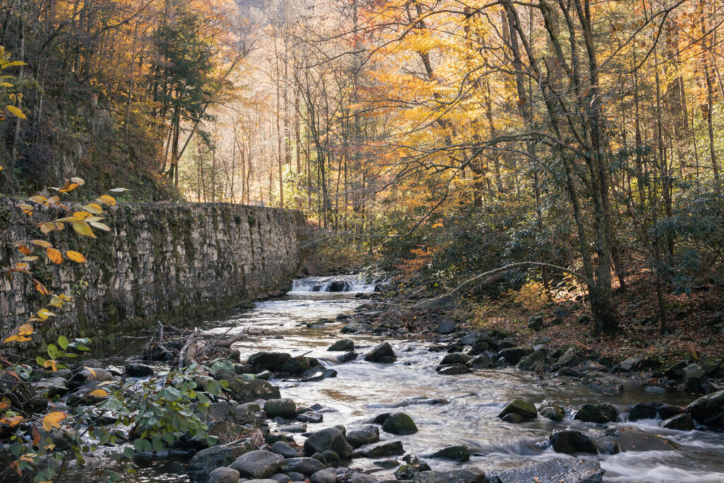 Great Smoky Mountain National Park - Creek with fall leaves