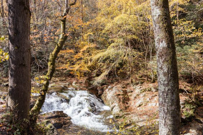 Great Smoky Mountain National Park - creek waterfall in fall