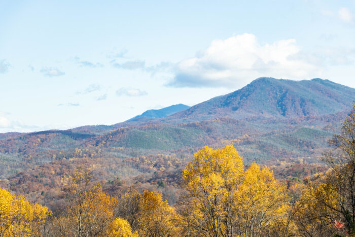Great Smoky Mountain National Park - Mountain with bright yellow trees