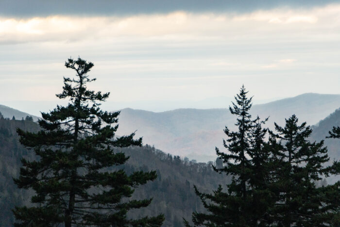 Great Smoky Mountain National Park - Top of the mountains covered in clouds