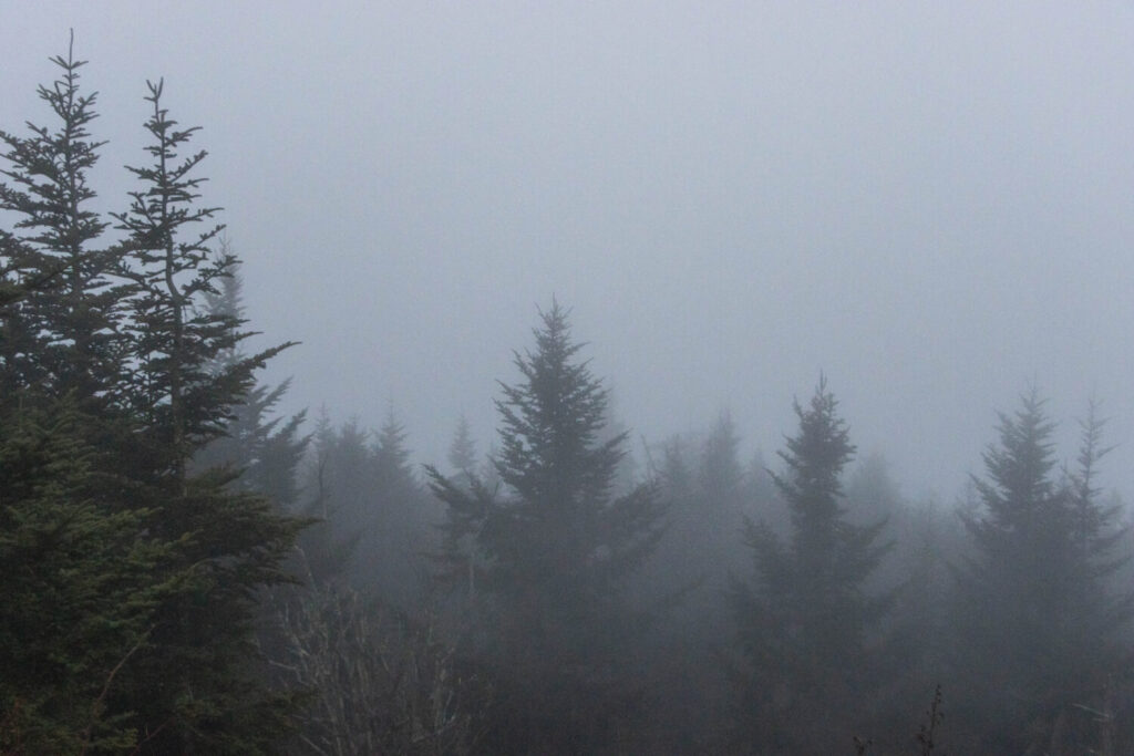 Great Smoky Mountain National Park - Top of the mountains covered in clouds and moody trees