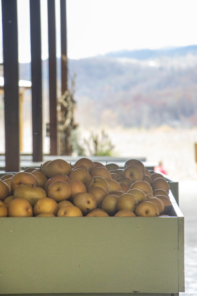 Things to Do on a Day Trip to Flat Rock, North Carolina - Sky Top Orchard apples