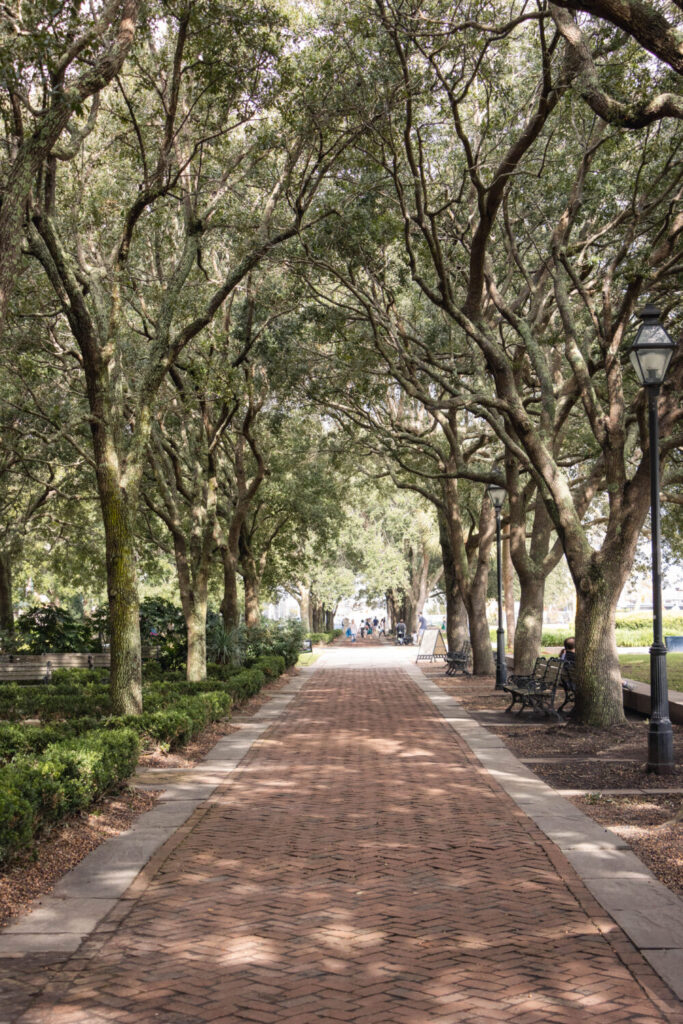 Best Things to do in Charleston, South Carolina - Brick Walkway shaded by trees in Waterfront Park
