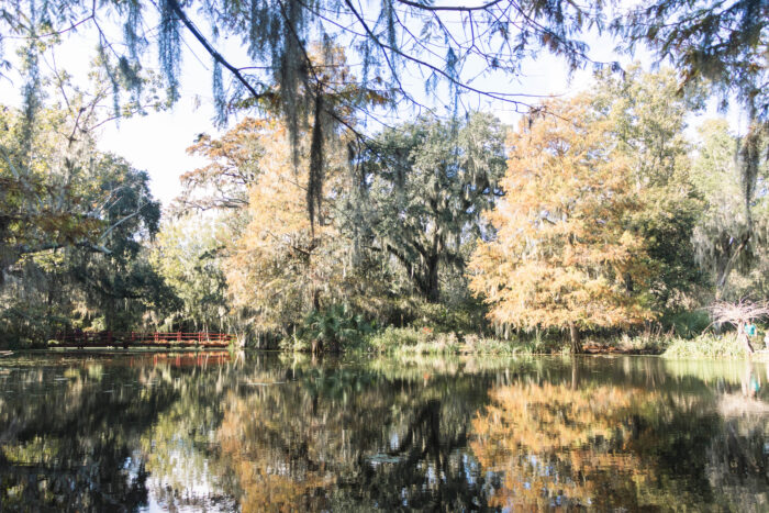 Exploring Historic Magnolia Plantation and Gardens in Charleston, South Carolina - Red bridge and fall foliage over the pond