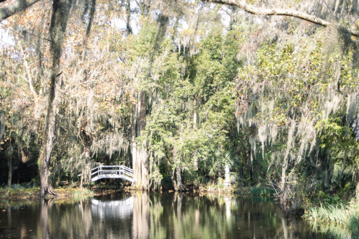 Exploring Historic Magnolia Plantation and Gardens in Charleston, South Carolina - Spanish moss covered trees and white bridge over mirror pond