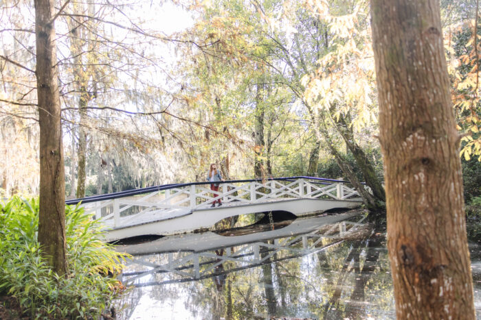 Exploring Historic Magnolia Plantation and Gardens in Charleston, South Carolina - Spanish moss covered trees and white bridge