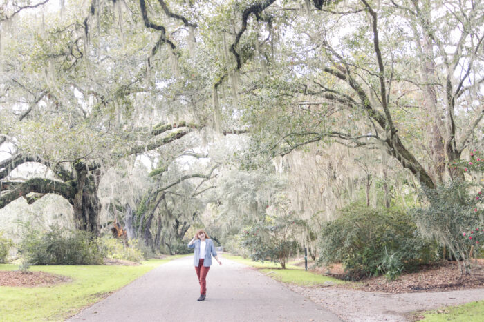 Exploring Historic Magnolia Plantation and Gardens in Charleston, South Carolina - Spanish moss covered ancient oak trees of Oak Grove