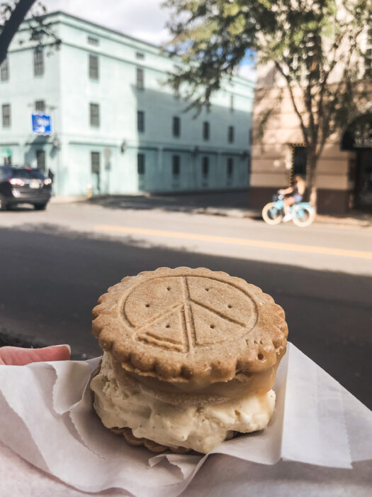 Best Things to do in Charleston, South Carolina - Historic Magnolia Plantation and Gardens - Peace Pie Ice Cream Sandwiches on Meeting Street - Salted Caramel Apple