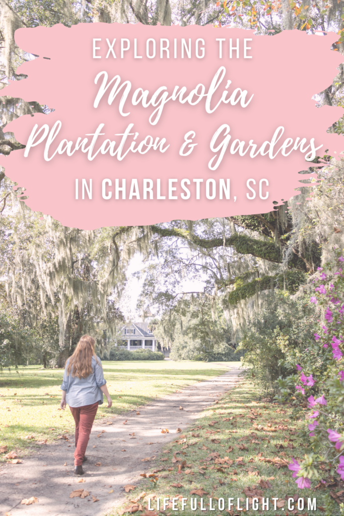 Of all the things to do in Charleston, Magnolia Plantation and Gardens is one of the best. This historic plantation has beautiful gardens, charming gazebos and bridges, and a gorgeous plantation home. Take one of the many guided tours to learn more about the history of this place, or take a leisurely stroll through the incredible, romantic gardens. #Charlestonhistory #Charlestonplantations #Charlestonvacation #Charlestongirlstrip #CharlestonSouthCarolina
