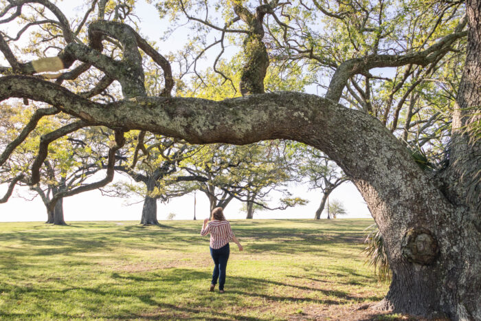 Weekend Getaway to Gulf Coast of Mississippi - oak trees at University of Southern Mississippi in Gulfport