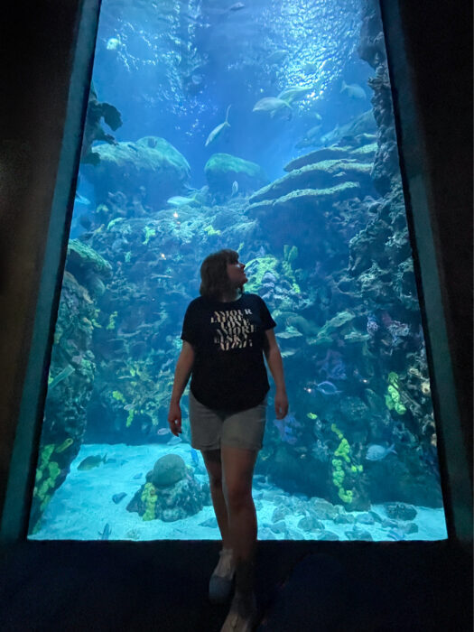 Things to do on a Weekend Getaway to Chattanooga, TN - Tennessee aquarium
