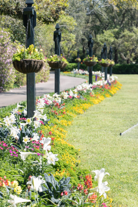 Bellingrath Gardens - Flowers lining the Great Lawn