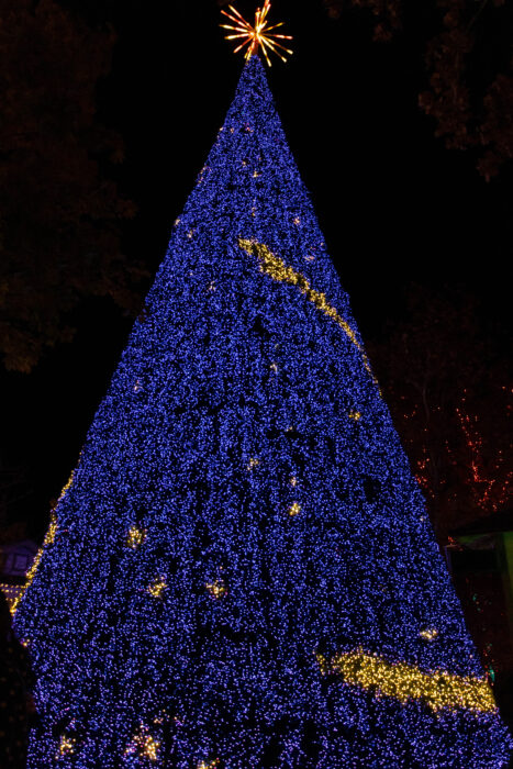 Christmas tree in Silver Dollar City covered in blue lights