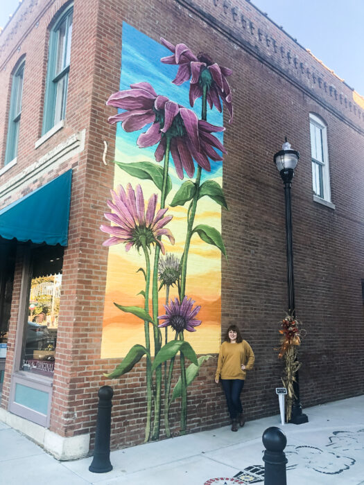 Murals in Springfield Missouri - Purple Daisies Street Art