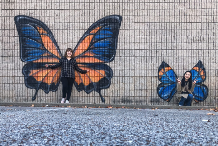Murals in Springfield Missouri - Two Butterflies street art